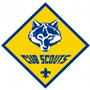 Cub Scouting